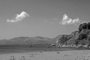 DAFNE beach ile kaplumbağa yuvalarının