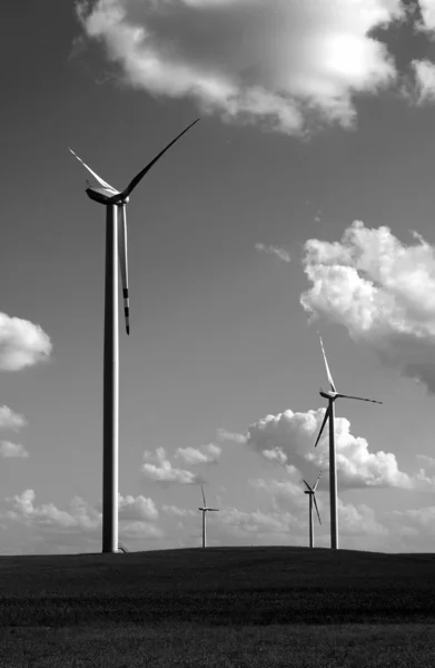 Turbines in wind farm — Stock Photo, Image