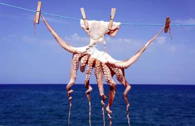 A small octopus drying in the sun clipart