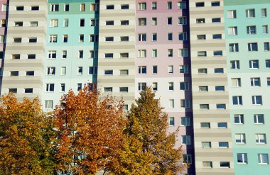 Beyaz papatya sonbahar çayır üzerinde