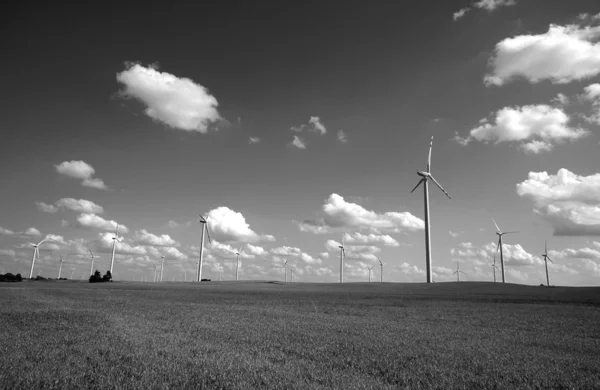 Turbine nel parco eolico — Foto Stock