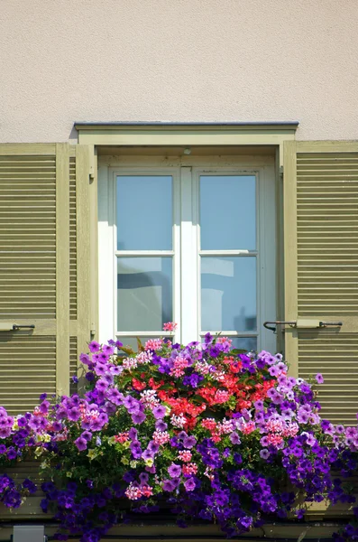 Window decorated with flowers — Stock Photo, Image