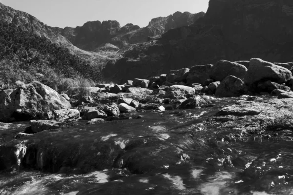 山中的溪流 — 图库照片