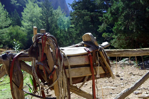 Saddles bir katır için — Stok fotoğraf