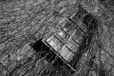 Sarmaşık kaplı ile pencere