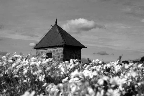 Башня средневекового замка и цветы — стоковое фото