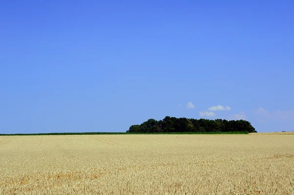 Pueblo paisaje —  Fotos de Stock