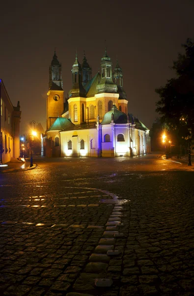 夜の大聖堂 — ストック写真