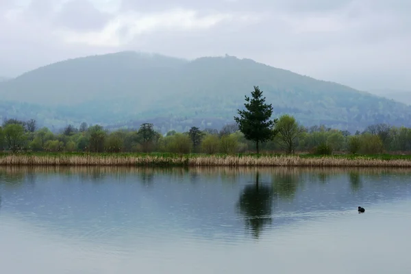 Neblige und regnerische Landschaft — Stockfoto