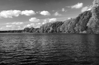 Göl ve ormanlı manzara