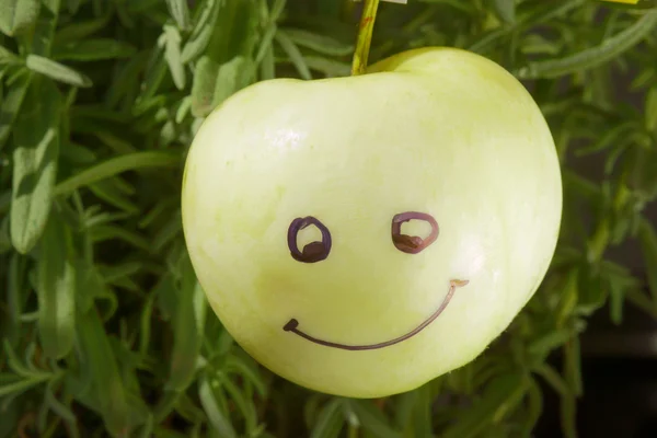 Lächelnder und reifer Apfel — Stockfoto