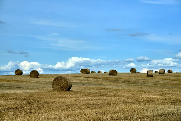 Paysage Rural Avec Chaume Pendant Été Pologne — Photo