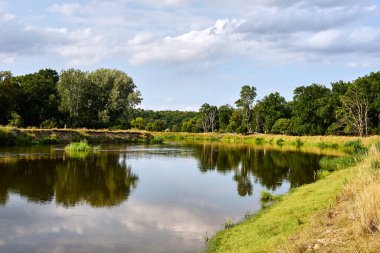 Yaprak döken orman ve Polonya 'da geniş bir alana yayılmış Warta Nehri