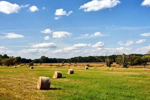 Paisagem Rural Com Restolho Durante Verão Polônia — Fotografia de Stock
