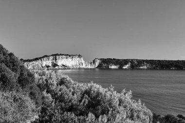 Yunanistan 'ın Zakynthos adasındaki Gerakas plajında kayalık, tek renkli.