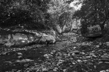 Yunanistan 'ın Girit adasındaki dağ deresi, tek renkli