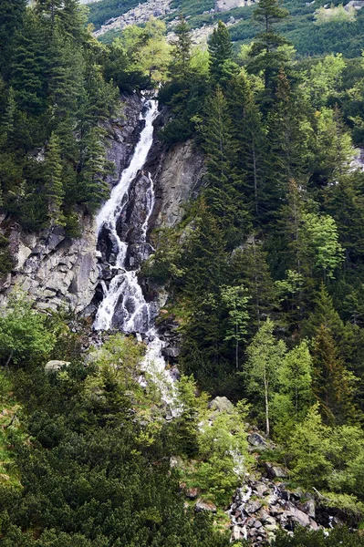 Mountain Waterfall Tatra Mountains Poland — Stock Photo, Image