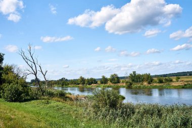 Polonya 'da yaz aylarında Warta Nehri yakınlarındaki çayırlar ve otlaklar