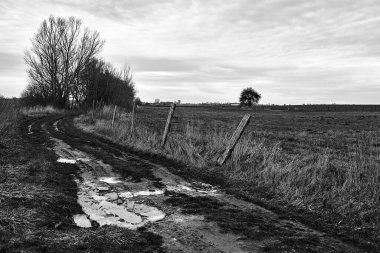 Polonya 'da sonbahar boyunca toprak bir yol boyunca kırsal alan ve dikenli tel çitler, tek renkli