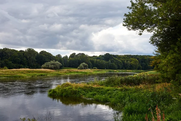 Yazın Polonya Warta Nehri Ndeki Yaprak Döken Orman Çayırlar — Stok fotoğraf