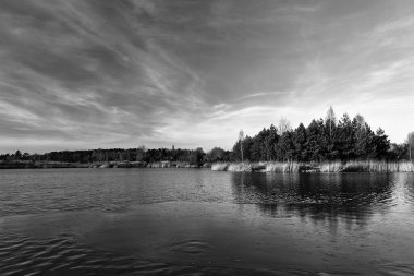Polonya 'da güneşli bir bahar gününde, gölün kıyısındaki sazlıklar ve ormanlar tek renkli.