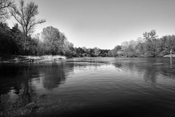 Yaprak döken orman ve Polonya 'da geniş bir alana yayılmış Warta Nehri, tek renk.