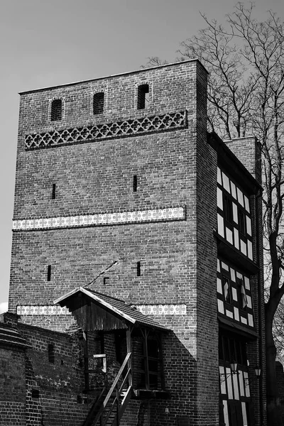 a historic tower and a brick defensive wall in the city of Torun in Poland, monochrome