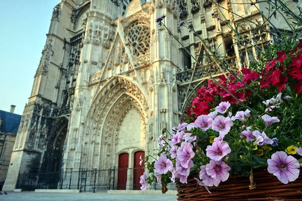 Blooming Surfinia Flowers Front Historic Cathedral Troyes France — Stock Photo, Image