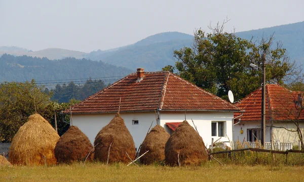 Evin içinde kırsal homestead