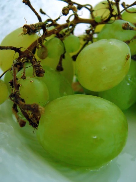 Fresh green grapes Royalty Free Stock Images