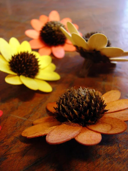 Mooie herfst kleuren van houten bloemen — Stockfoto