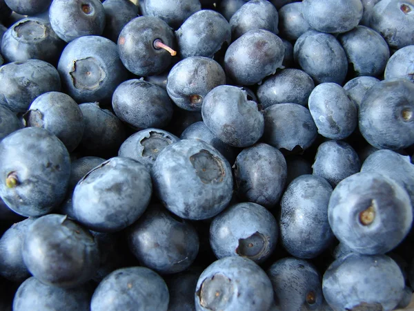 Fresh Bilberries — Stock Photo, Image