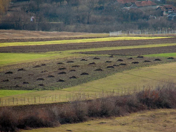 Landschaft mit bewirtschafteten Feldern — Stockfoto