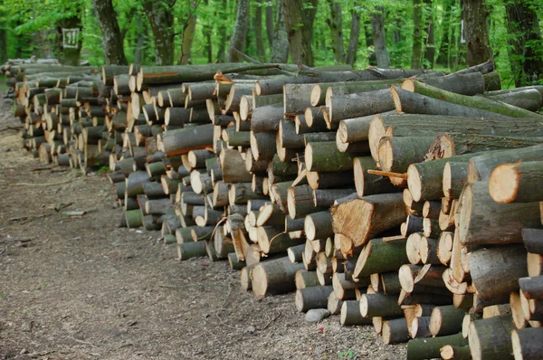 Holzstapel — Stockfoto