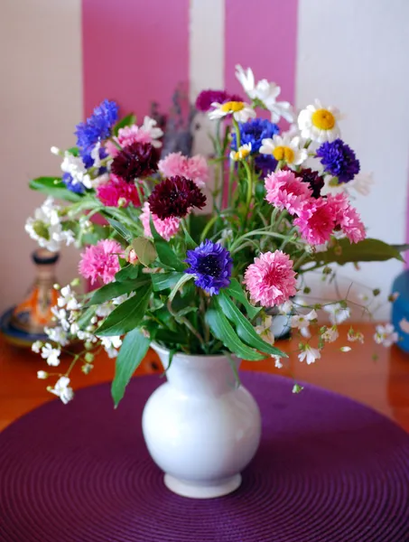 Belles fleurs printanières, bleuets et marguerites — Photo