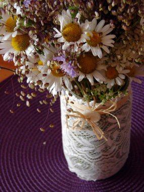 güzel bahar çiçekleri, papatya