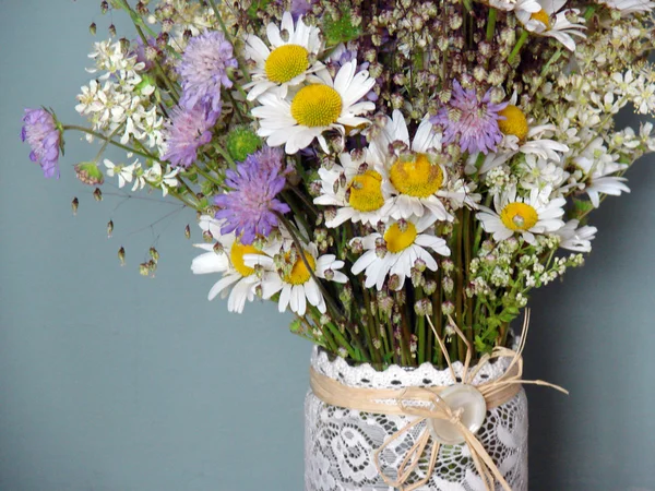 Τα όμορφα λουλούδια άνοιξη, μαργαρίτες — Φωτογραφία Αρχείου