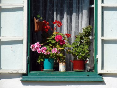 çiçekli güzel rustik penceresinin ayrıntı