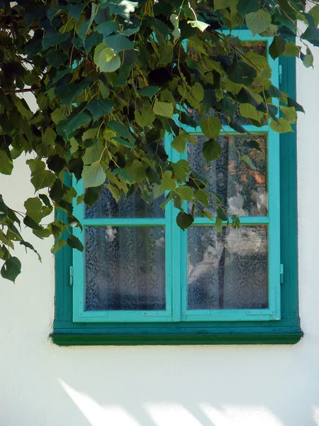 Detalle de la hermosa ventana rústica — Foto de Stock