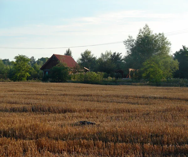 Ländliche Landschaft — Stockfoto