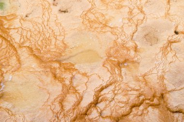 buzlu suda tuz çökeller