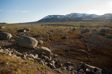 Dağı yayla valdresflye, jotunheimen, Norveç