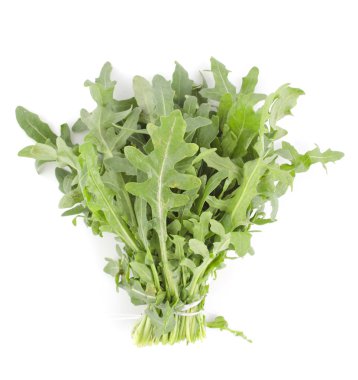 Rukola