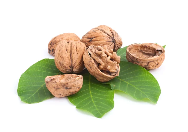 Fresh walnuts — Stock Photo, Image