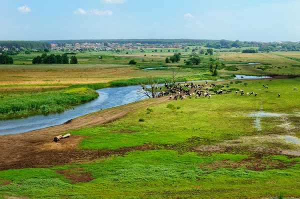 Paesaggio rurale — Foto Stock