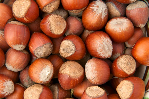 Hazelnuts background — Stock Photo, Image