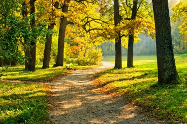 Warm autumn