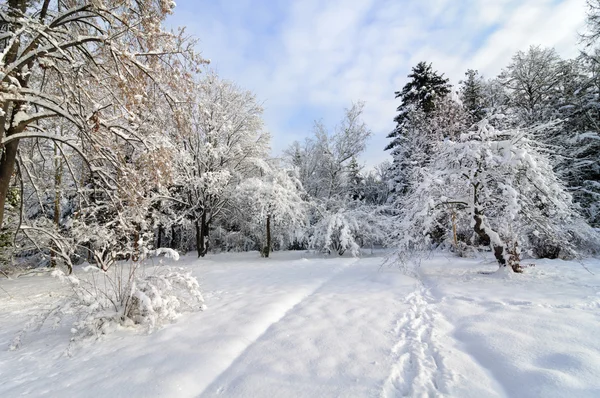 Paysage de Noël — Photo