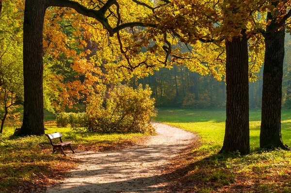 Banklı Güzel Bir Sonbahar Parkı — Stok fotoğraf