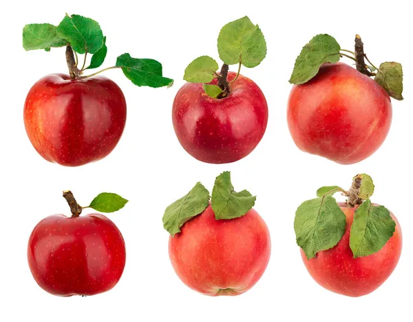 Uppsättning Färska Plockade Röda Äpplen Med Blad — Stockfoto